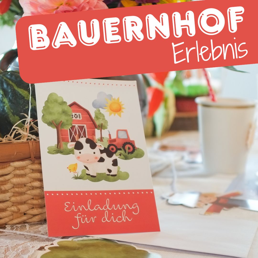 Bauernhof Dekoset