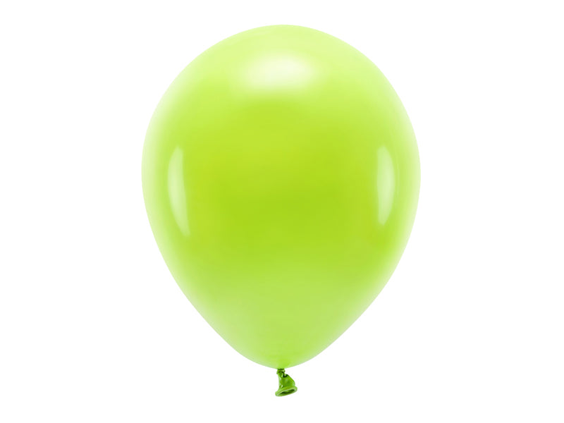 Dinos Luftballonset Eco 15 Stück